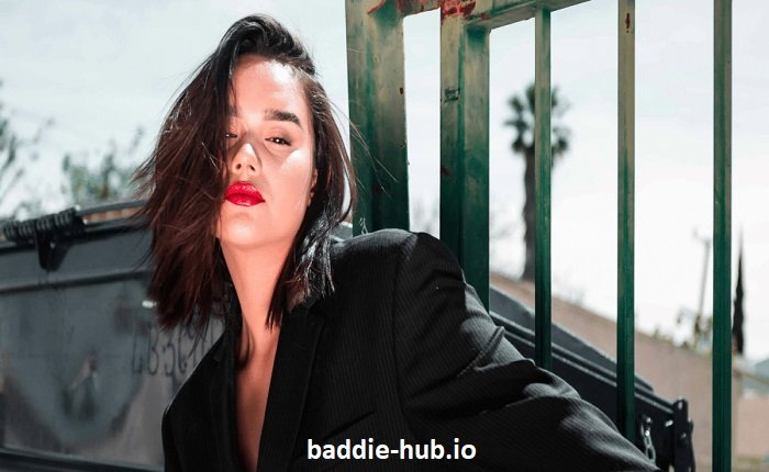 Badie Hub